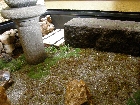 P4213320.JPG