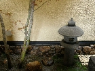 P4213307.JPG