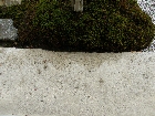 P1310831.JPG